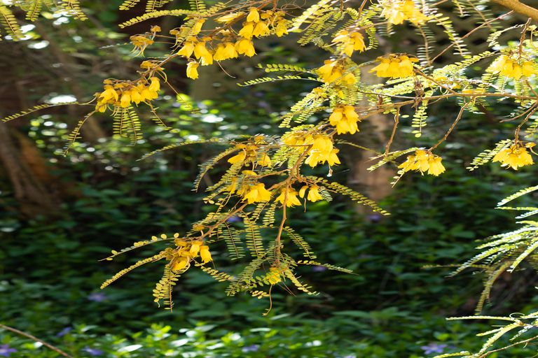 Photo of property in 1101 Dyers Pass Road, Governors Bay, Lyttelton, 8971