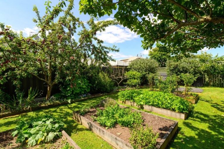 Photo of property in 56 Kawaha Point Road, Kawaha Point, Rotorua, 3010