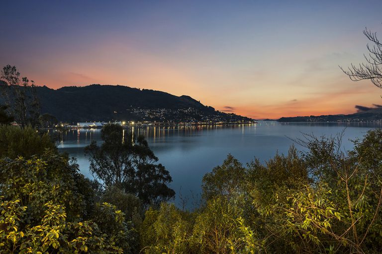 Photo of property in 230 Portobello Road, The Cove, Dunedin, 9077