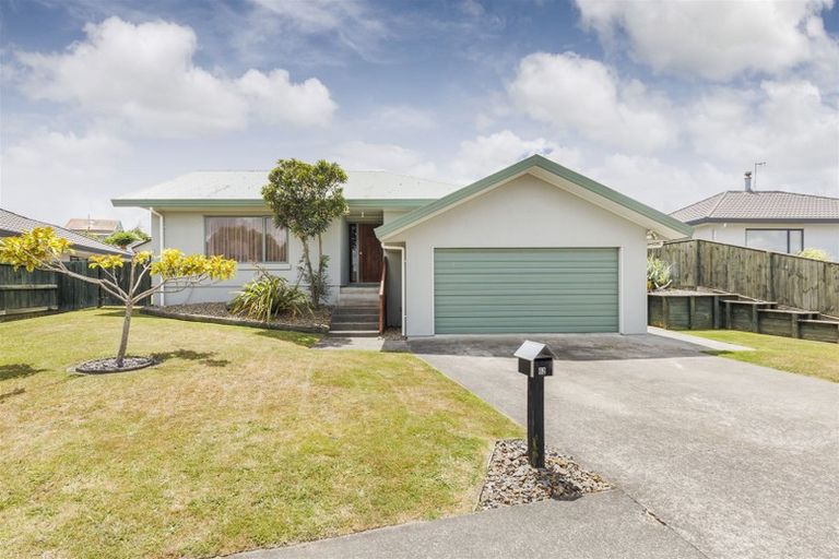 Photo of property in 62 Fraser Drive, Feilding, 4702