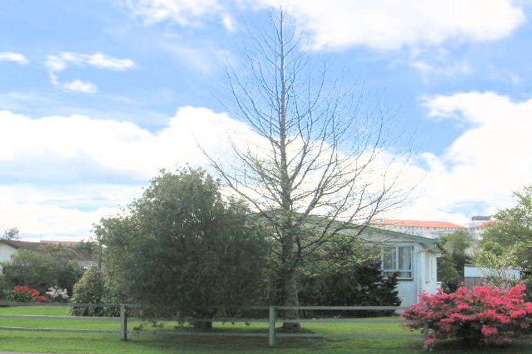 Photo of property in 6 Tarewa Road, Rotorua, 3010