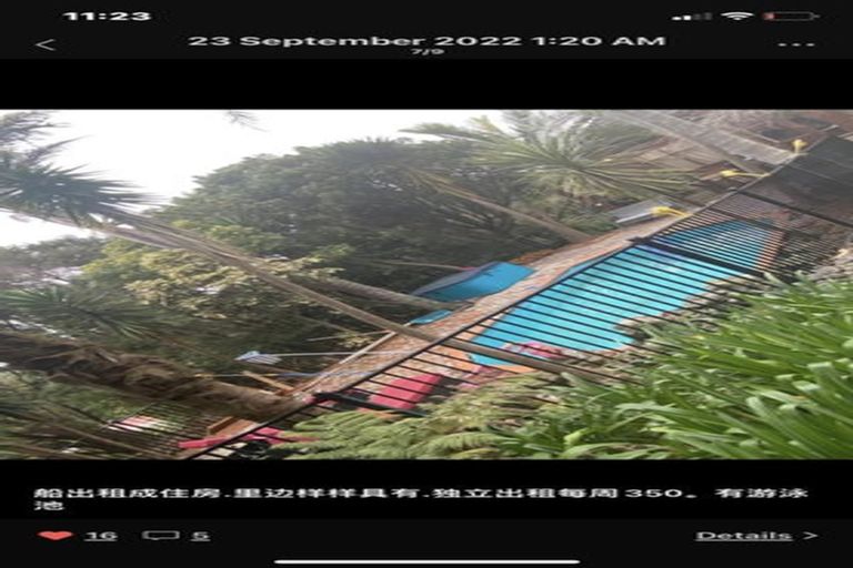 Photo of property in 341 Upper Harbour Drive, Greenhithe, Auckland, 0632