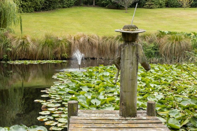 Photo of property in 245 Downs Road, Geraldine Downs, Geraldine, 7991