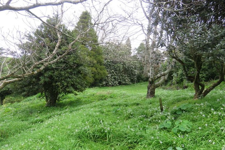 Photo of property in 12a Horne Street, Hurdon, New Plymouth, 4310