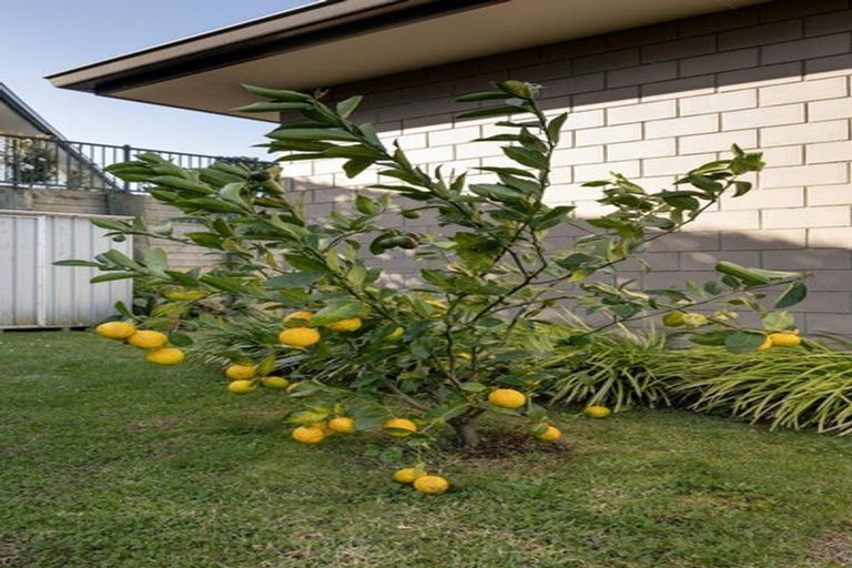 Photo of property in Waterview Estate, 34/4 Greystone Place, Omokoroa, 3114