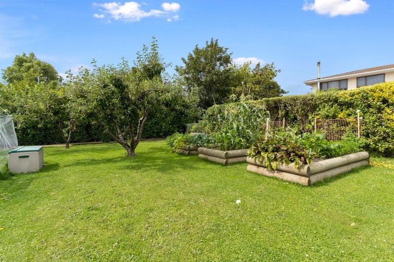 Photo of property in 47 Belt Street, Waimate, 7924