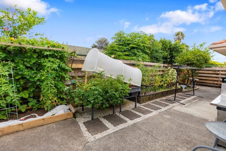 Photo of property in 10 Abelia Avenue, Mount Maunganui, 3116