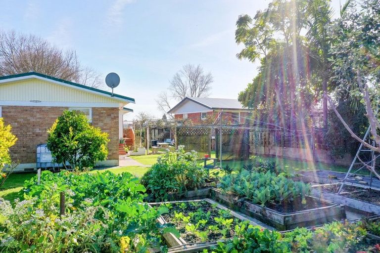 Photo of property in 5 Eleanor Place, Whakatane, 3120