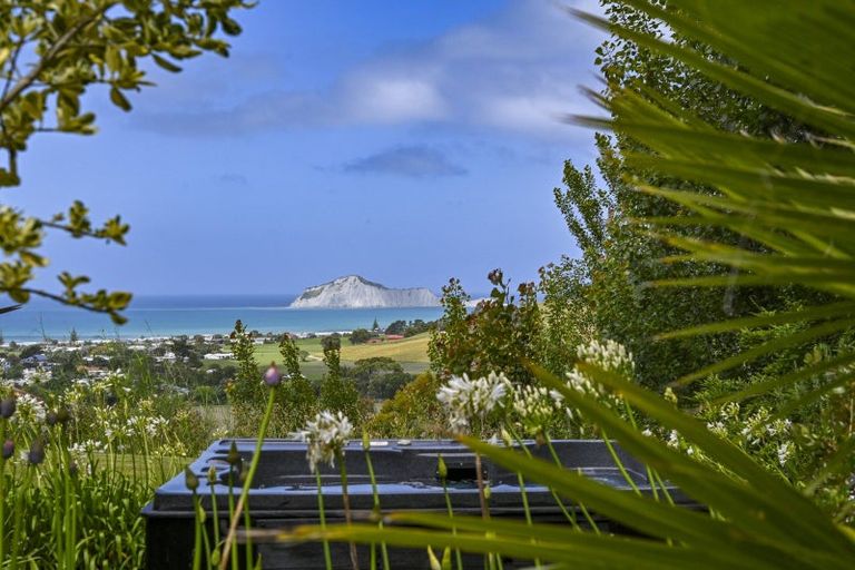 Photo of property in 58 Te Apiti Road, Waimarama, Havelock North, 4294