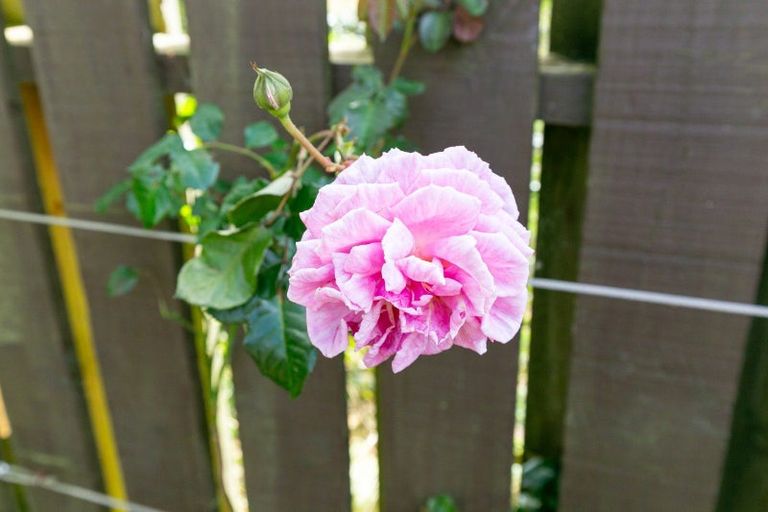 Photo of property in 34 Spencer Street, Crofton Downs, Wellington, 6035