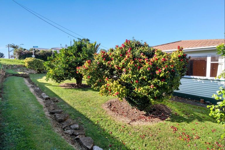 Photo of property in 99 Clawton Street, Westown, New Plymouth, 4310
