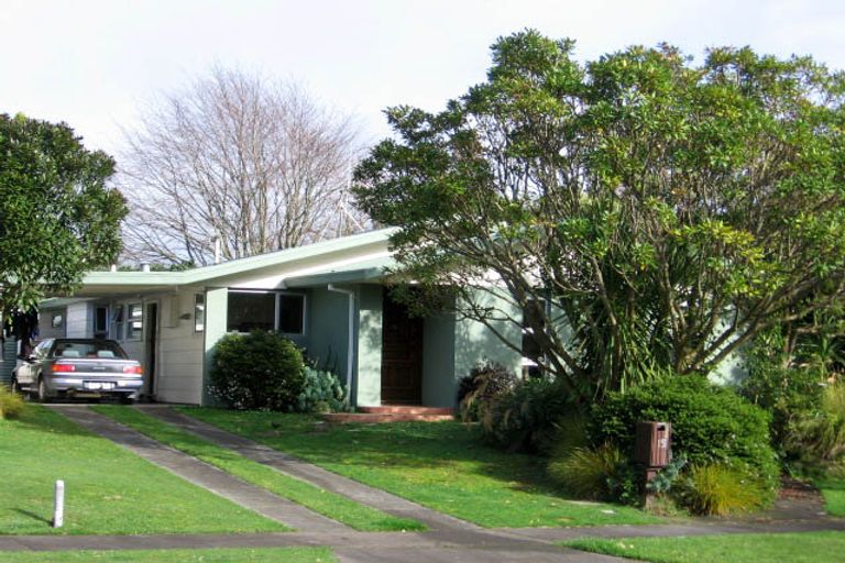 Photo of property in 17 Haast Place, Awapuni, Palmerston North, 4412