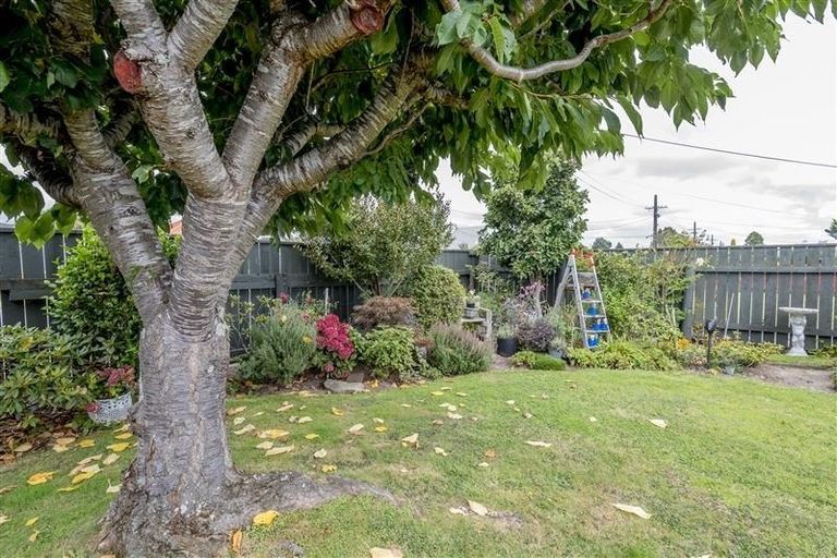 Photo of property in 35 York Street, Levin, 5510