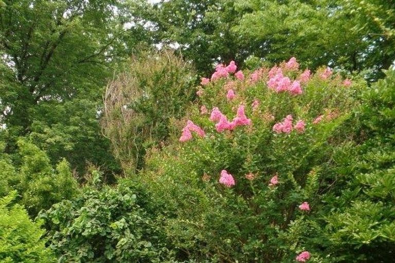 Photo of property in 29a Duthie Street, Karori, Wellington, 6012