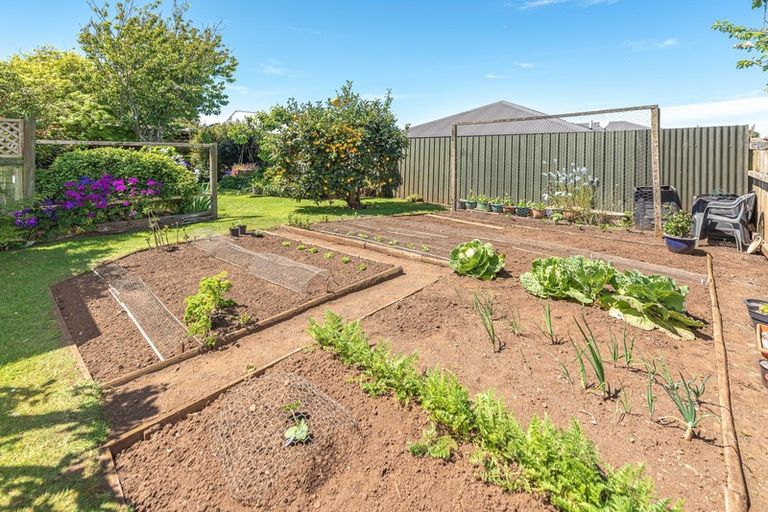 Photo of property in 5 Godwin Crescent, College Estate, Whanganui, 4500