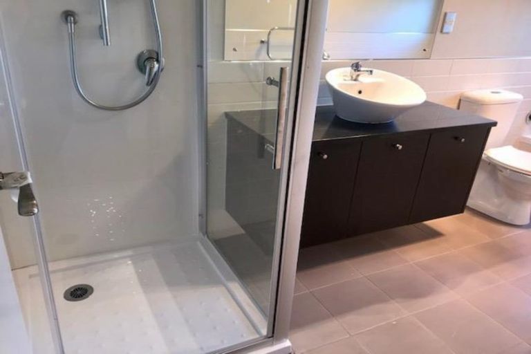 Photo of property in 29 Coachman Drive, Flat Bush, Auckland, 2016