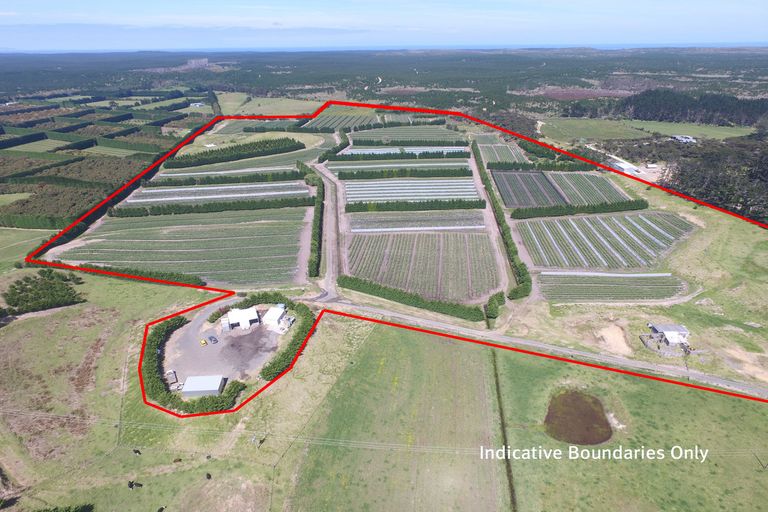 Photo of property in 3167 State Highway 1, Pukenui, Kaitaia, 0484