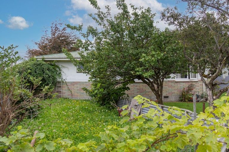 Photo of property in 58 Venice Street, Martinborough, 5711