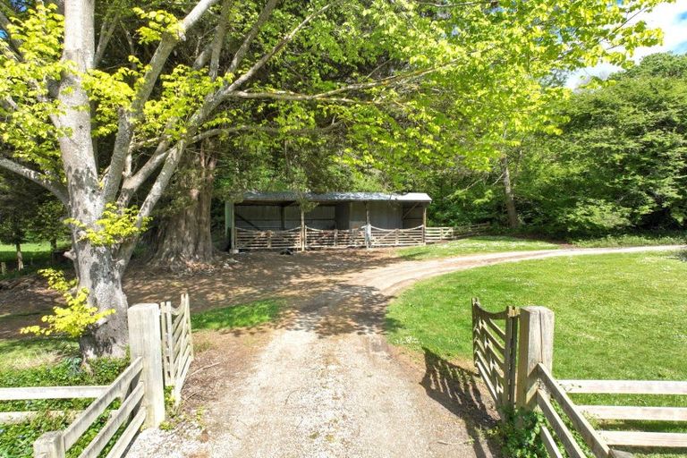 Photo of property in 1405 Wharekopae Road, Ngatapa, Gisborne, 4072