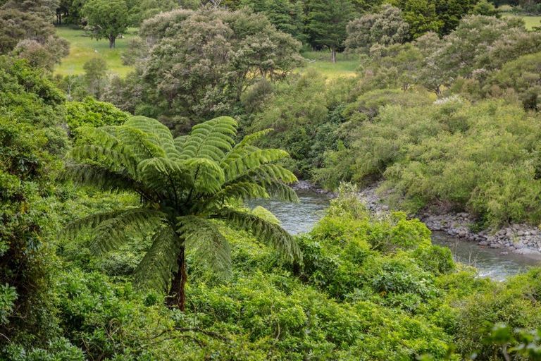 Photo of property in 365 Upper Waingawa Road, Kaituna, Masterton, 5888