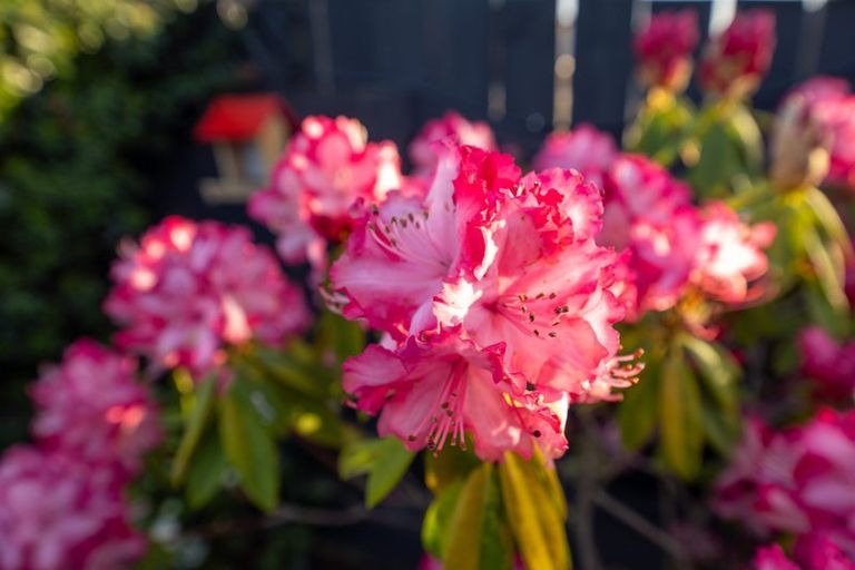 Photo of property in 10 Carmello Grove, Richmond, 7020