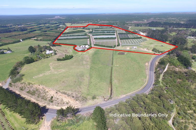 Photo of property in 3167 State Highway 1, Pukenui, Kaitaia, 0484