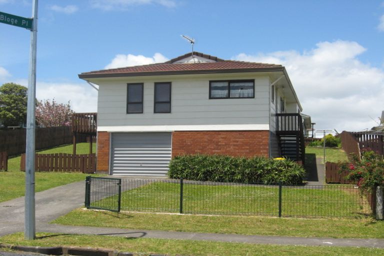 Photo of property in 33 Maplesden Drive, Clendon Park, Auckland, 2103