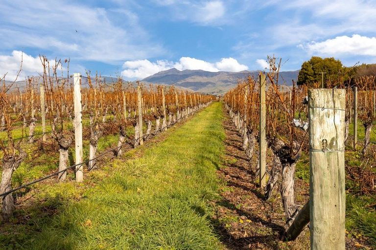 Photo of property in 21 Burnside Avenue, Springlands, Blenheim, 7272