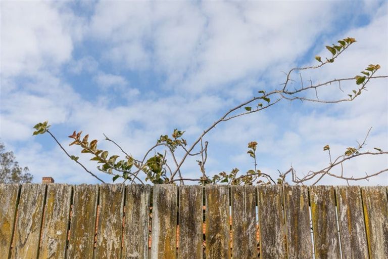 Photo of property in 171 Hetherington Road, Huntly, 3772