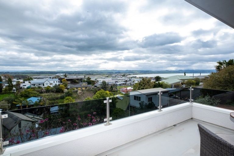Photo of property in 8 Denholm Road, Hospital Hill, Napier, 4110