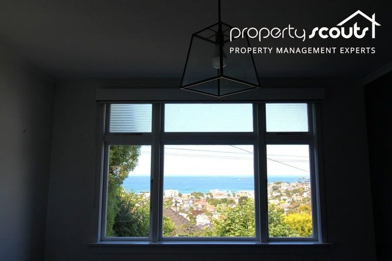 Photo of property in 14 Coney Hill Road, Saint Clair, Dunedin, 9012