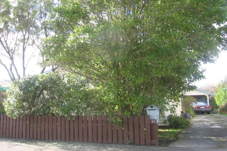 Photo of property in 45 Shamrock Street, Takaro, Palmerston North, 4412