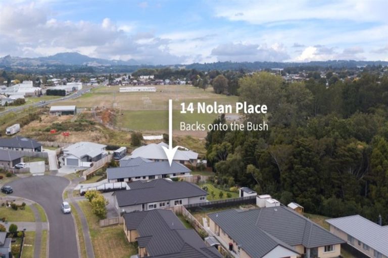 Photo of property in 14 Nolan Place, Katikati, 3129