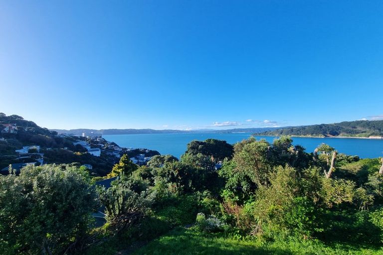 Photo of property in 105 Grafton Road, Roseneath, Wellington, 6011
