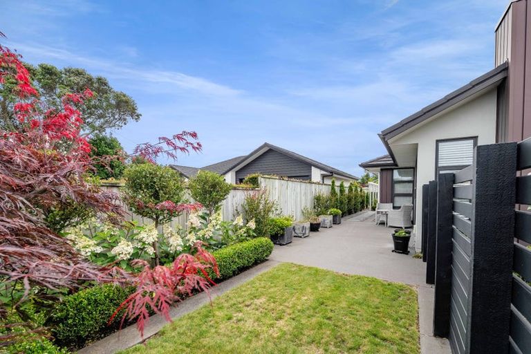 Photo of property in 425 Mangorei Road, Highlands Park, New Plymouth, 4312