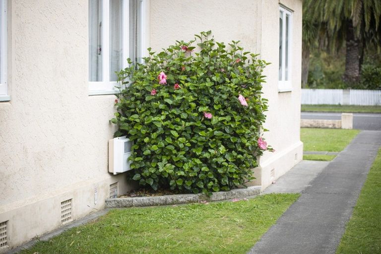 Photo of property in 16 Herrick Street, Marewa, Napier, 4110