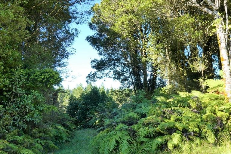 Photo of property in 196 Maori Creek Road, Marsden, Greymouth, 7872