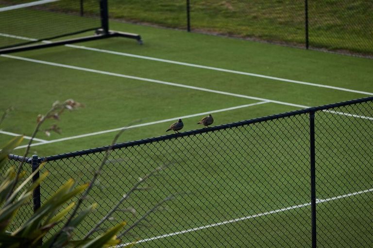 Photo of property in 75 Millar Road, Haumoana, Hastings, 4180