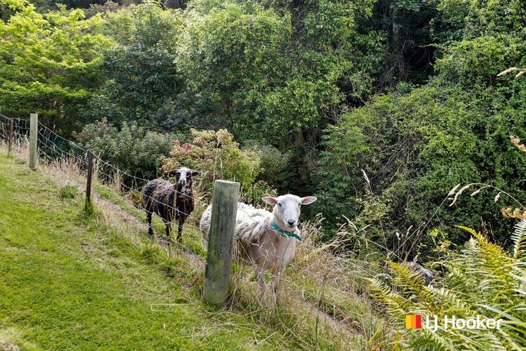 Photo of property in 4a Ronay Street, Bradford, Dunedin, 9011