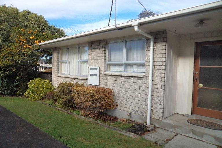 Photo of property in 1/197 Thirteenth Avenue, Tauranga South, Tauranga, 3112