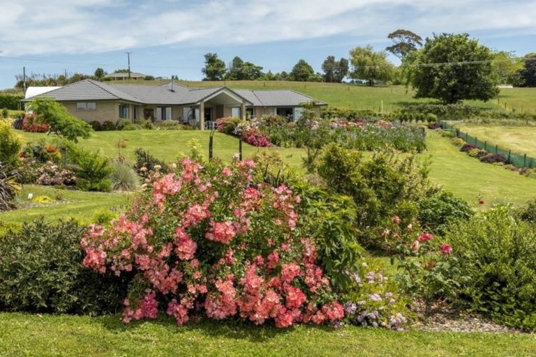 Photo of property in 515 Youngson Road, Whakamarama, Tauranga, 3179