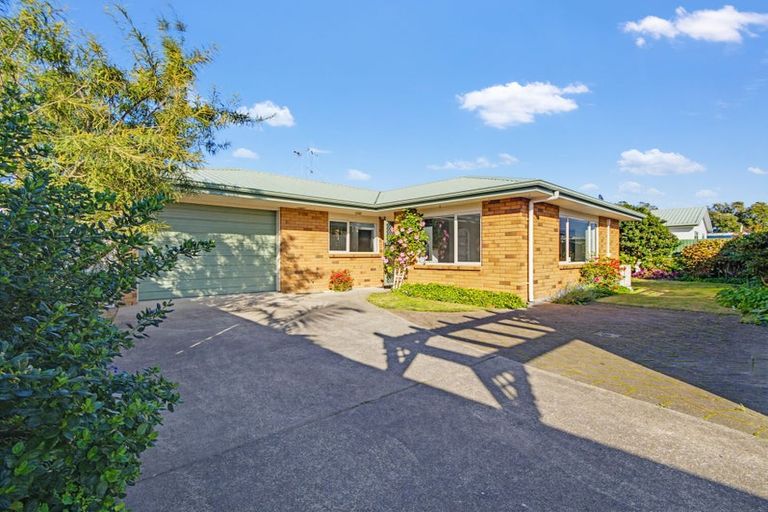 Photo of property in 67a Stewart Street, Whakatane, 3120