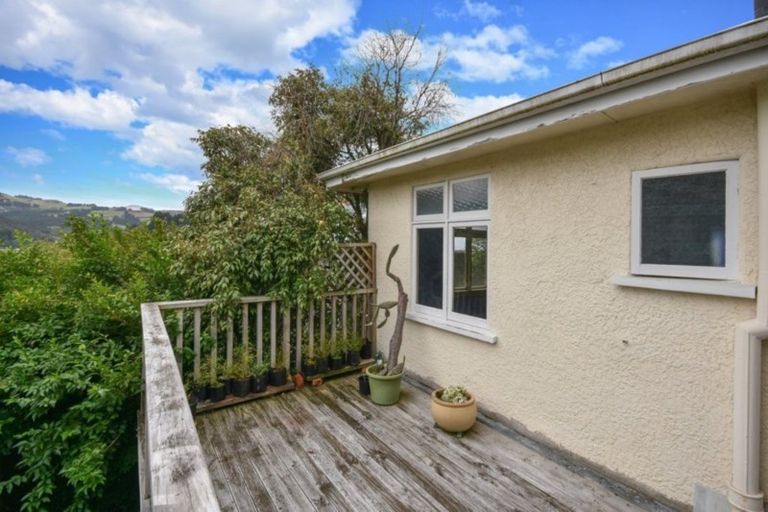 Photo of property in 115 Evans Street, Opoho, Dunedin, 9010