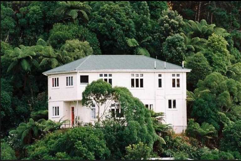 Photo of property in 6 Semeloff Terrace, Aro Valley, Wellington, 6021