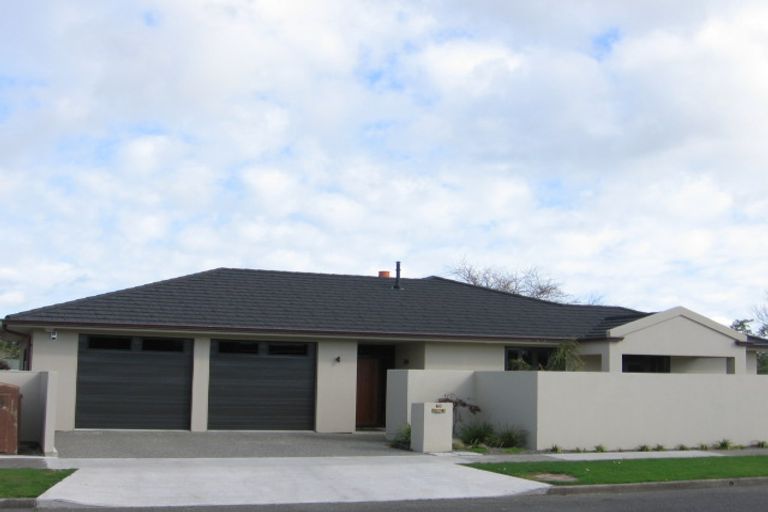 Photo of property in 60 Pitama Road, Awapuni, Palmerston North, 4412