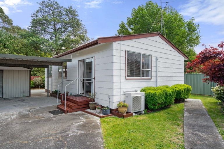 Photo of property in 90b Brandon Street, Featherston, 5710