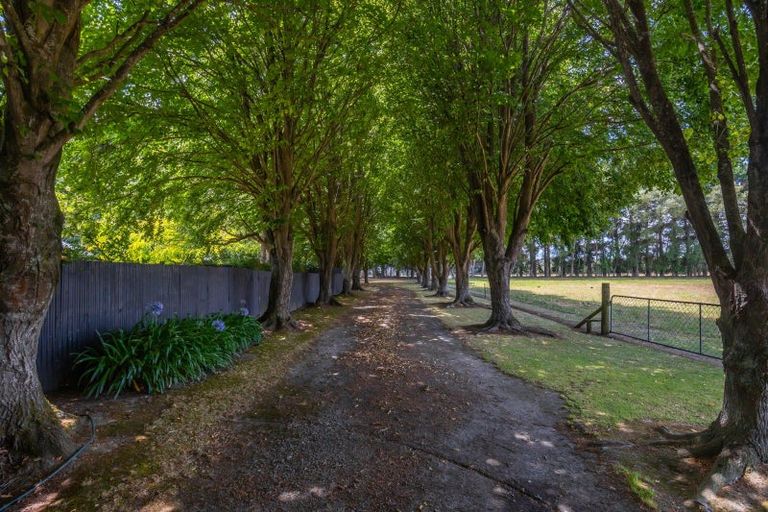 Photo of property in 448 Tancreds Road, Lincoln, Christchurch, 7672