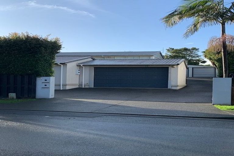 Photo of property in 17a Skinner Road, Mount Wellington, Auckland, 1060