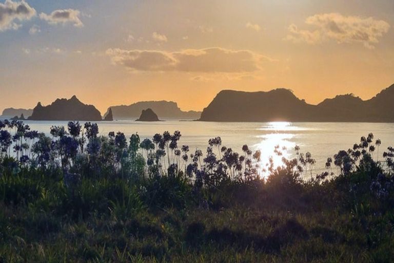 Photo of property in 42 Skippers Road, Opito Bay, Whitianga, 3592