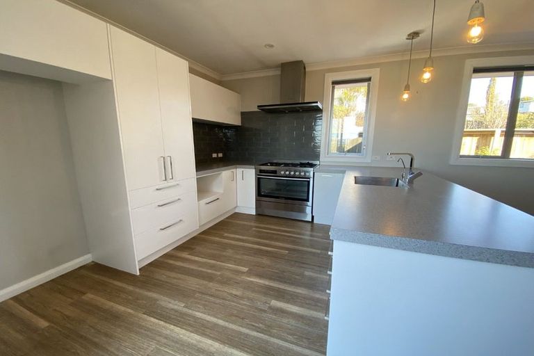 Photo of property in 55 Hawthorn Avenue, Mornington, Dunedin, 9011